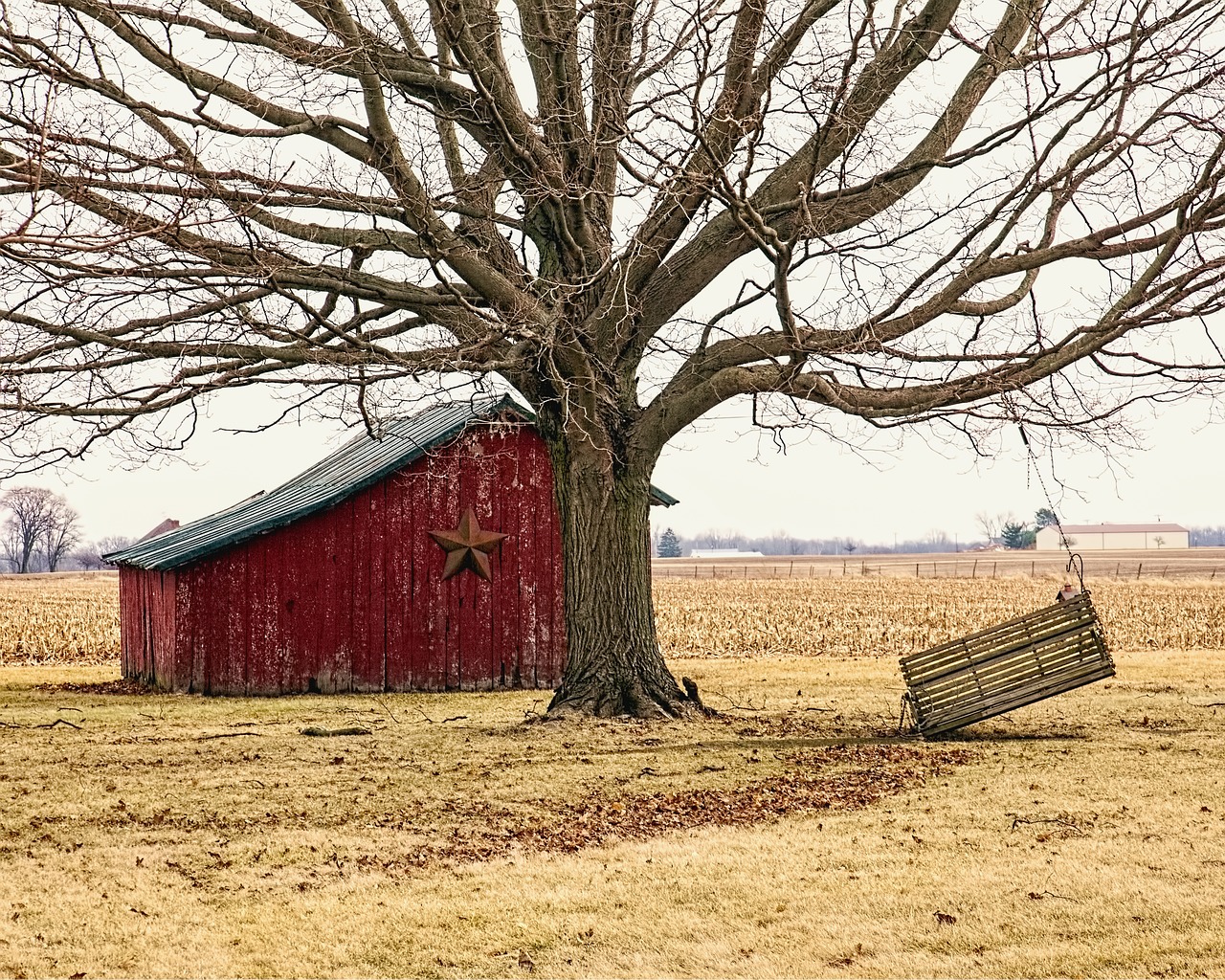 barn rustic barns free photo