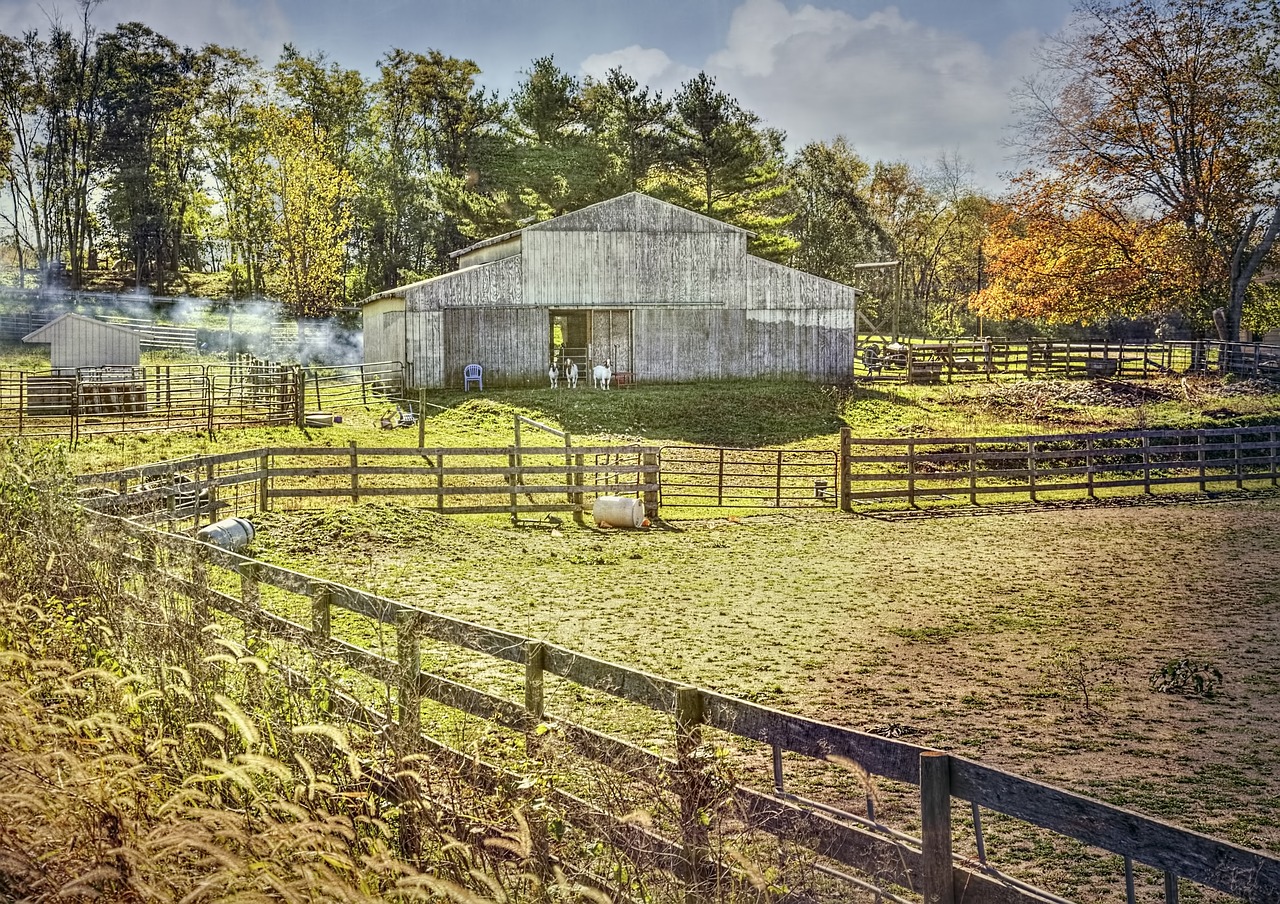 barn rustic barns free photo