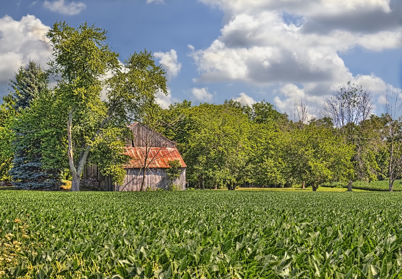 barn rustic barns free photo