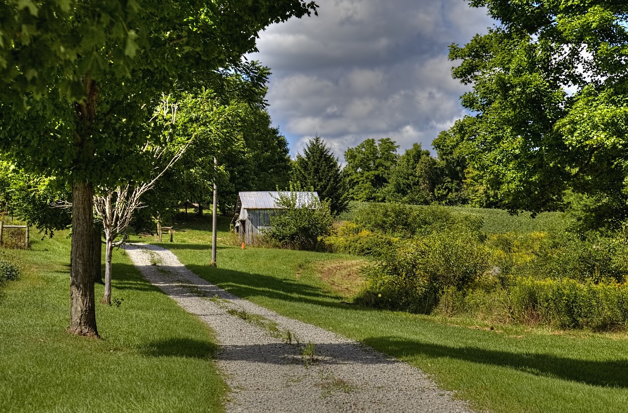 barn rustic barns free photo