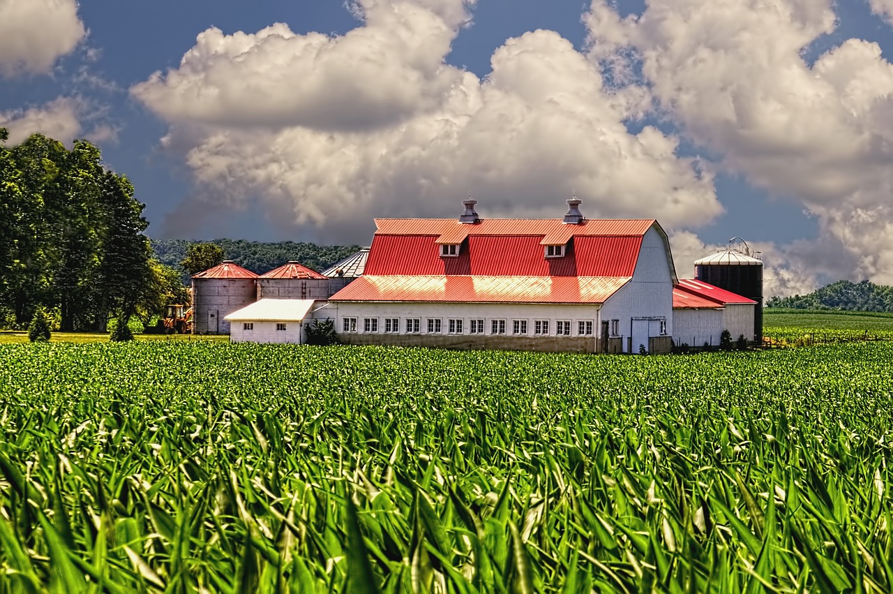 barn rustic barns free photo