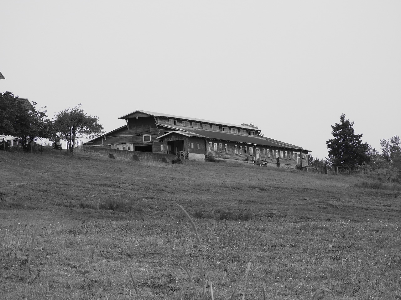 barn farm monochrome free photo