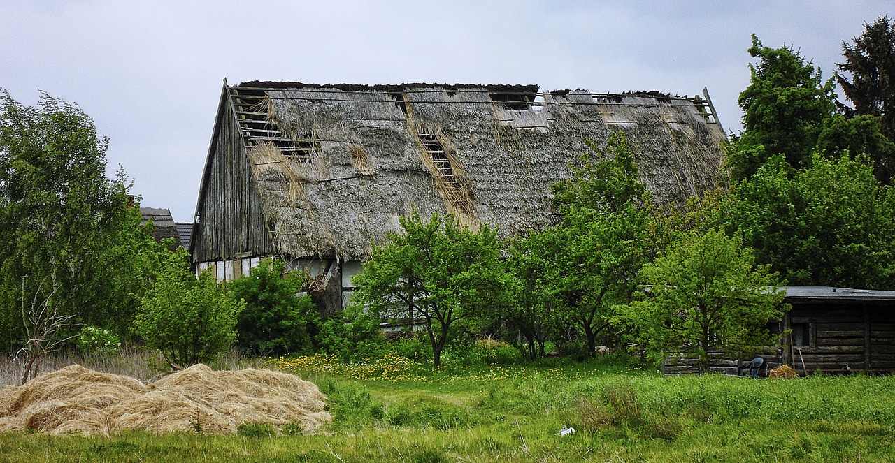 barn break up thatched roof free photo