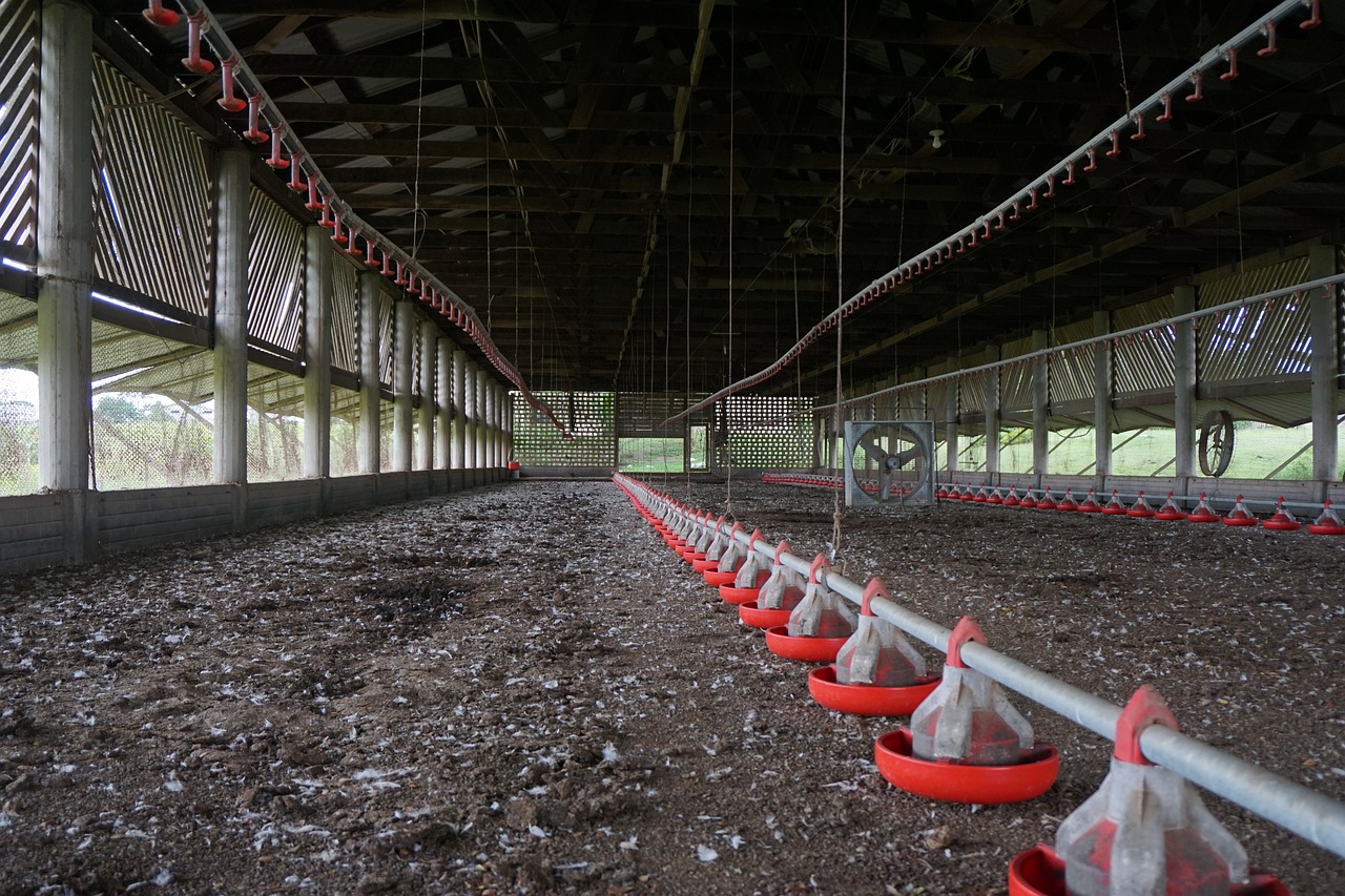 barn feeders farm free photo