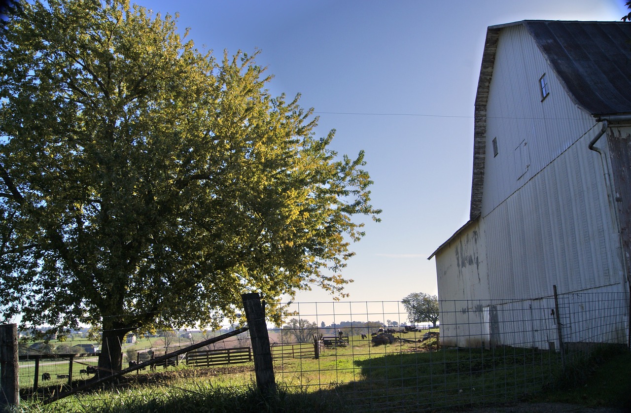 barn rural farm free photo