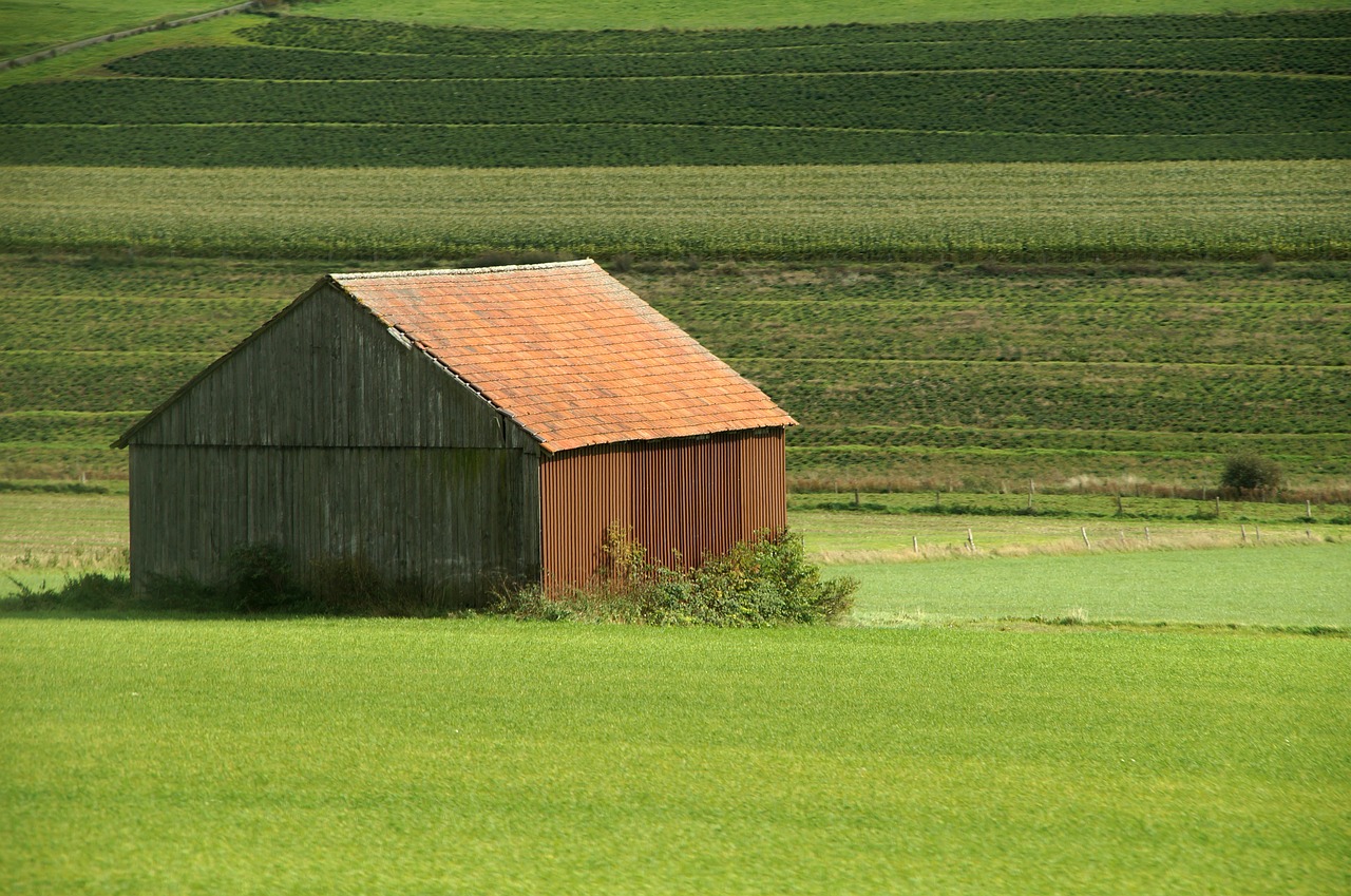 barn grass farm free photo