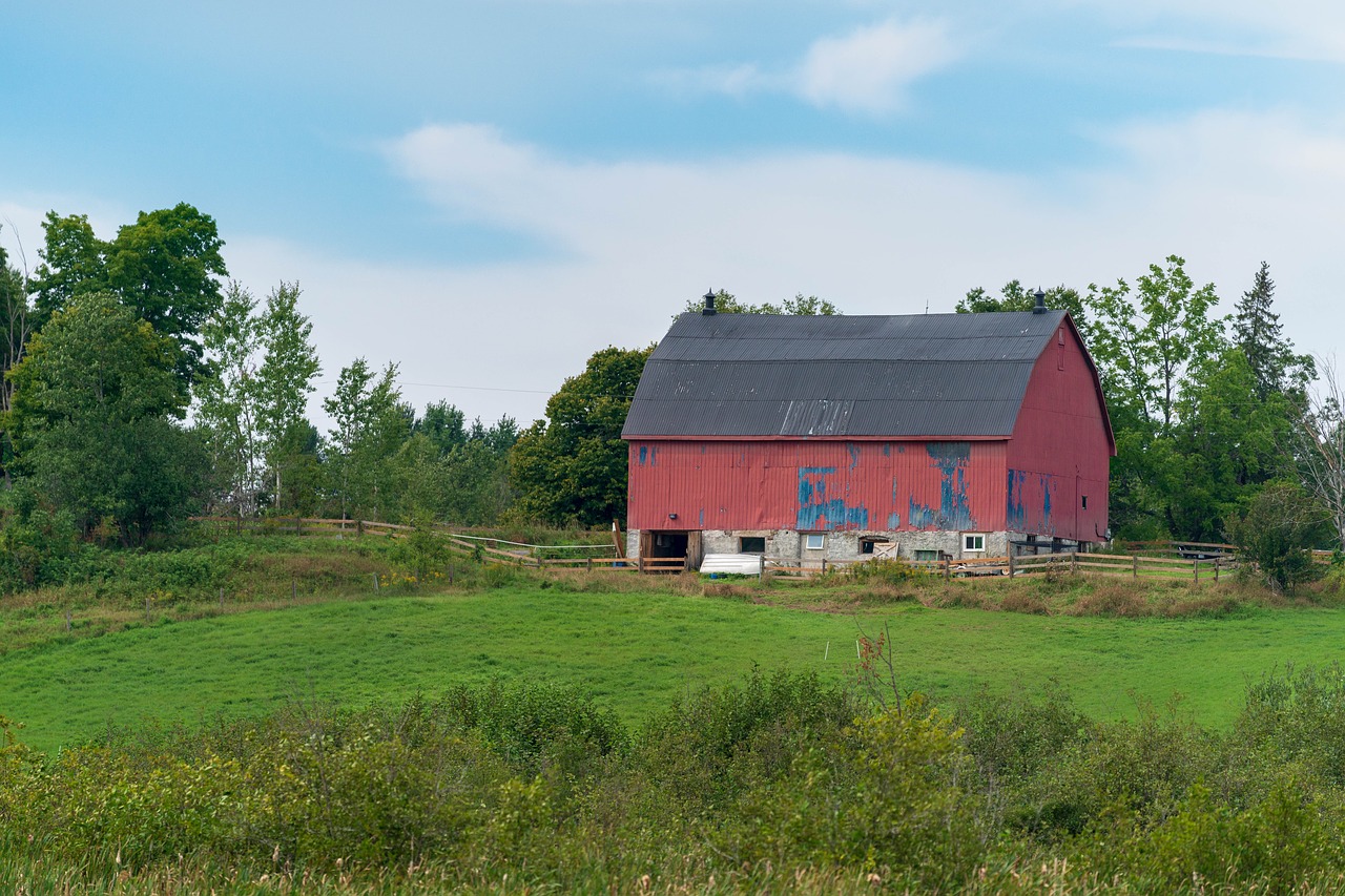 barn  red  land free photo