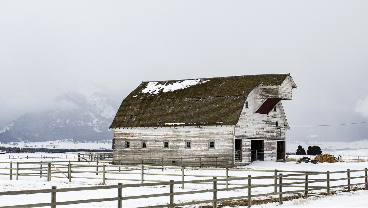 barn  wood  farm free photo