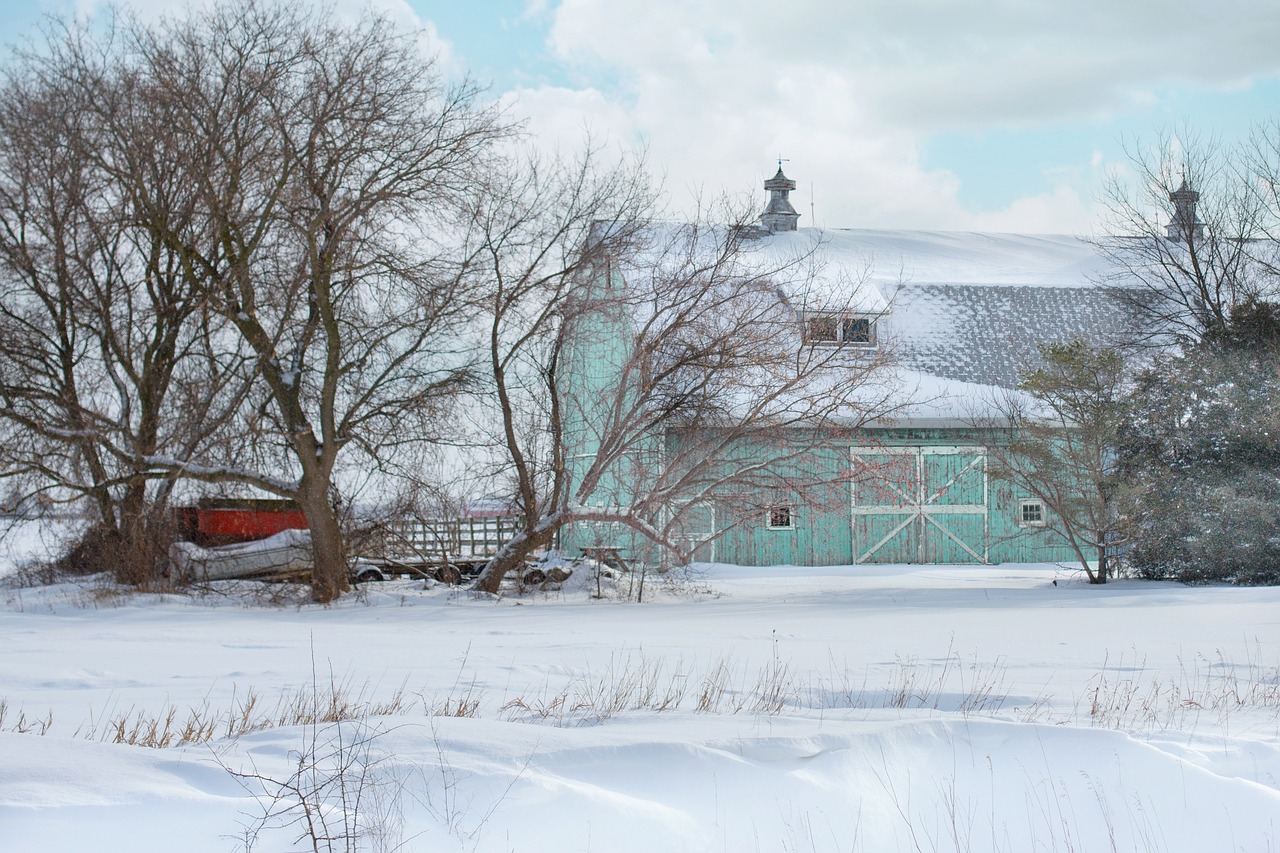 barn  aqua  rustic free photo