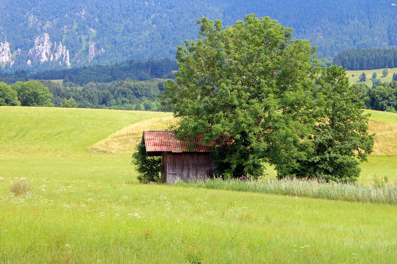 barn hut field free photo