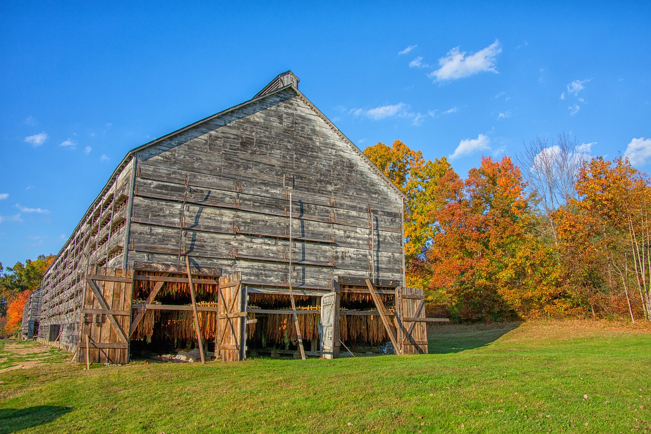 barn  tobacco  farm free photo