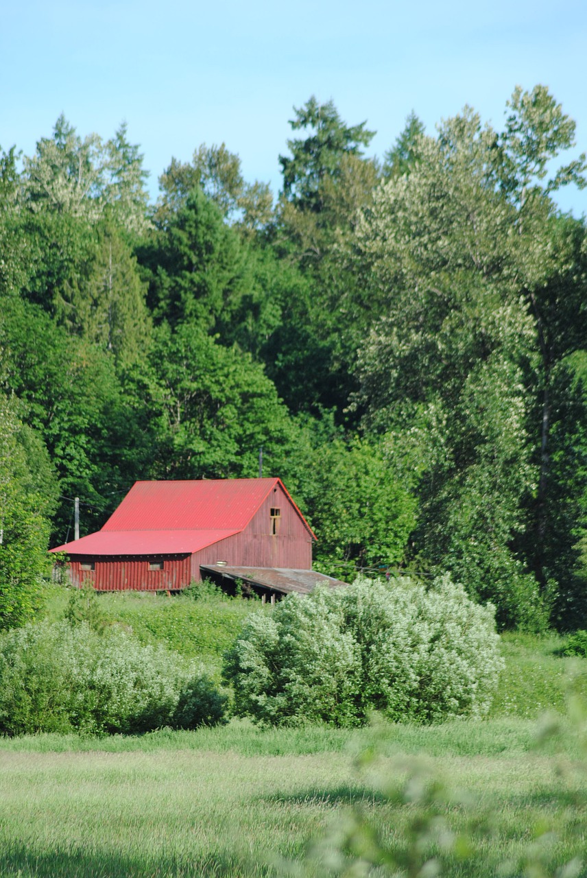 barn  farm  shed free photo