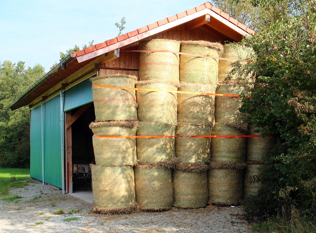 barn stock hay free photo
