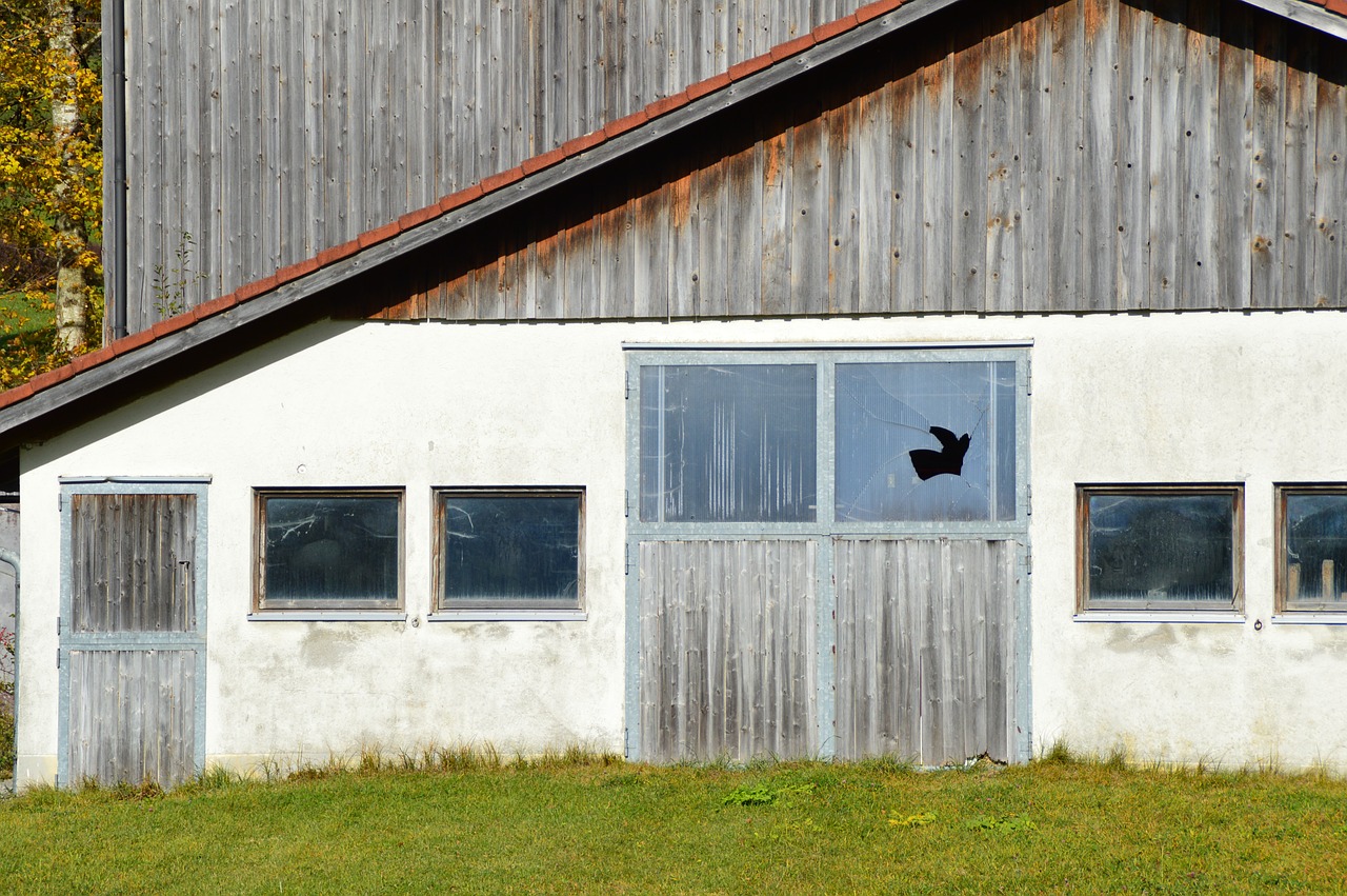 barn farm leave free photo