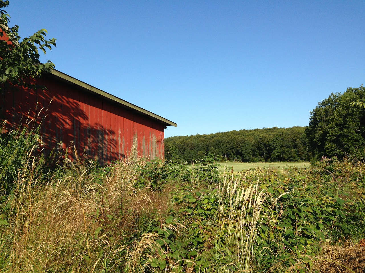 barn red country free photo