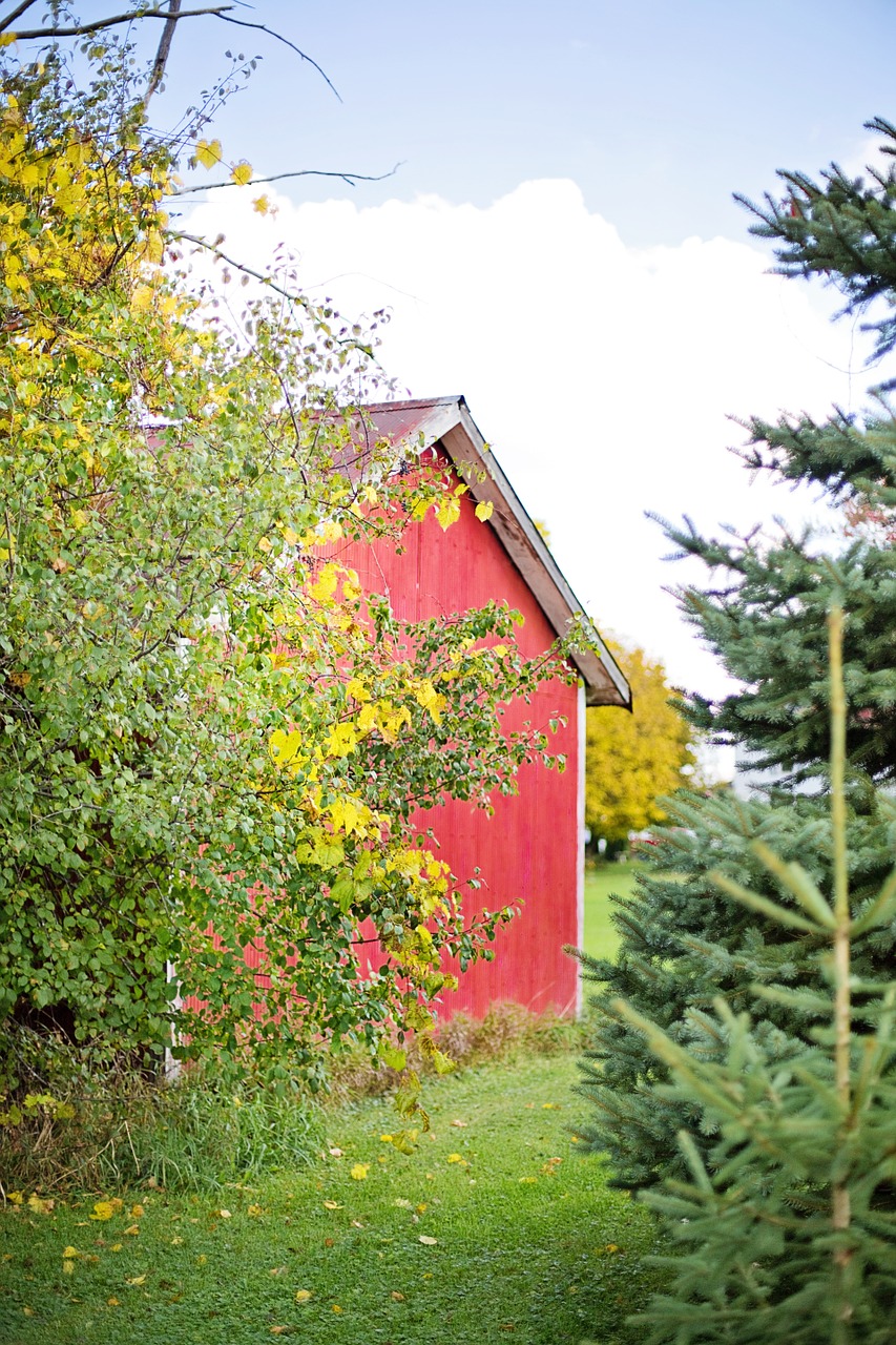 barn red wood free photo