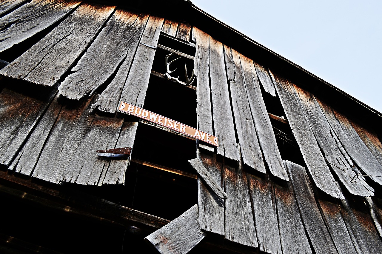 barn wood budweiser ave free photo