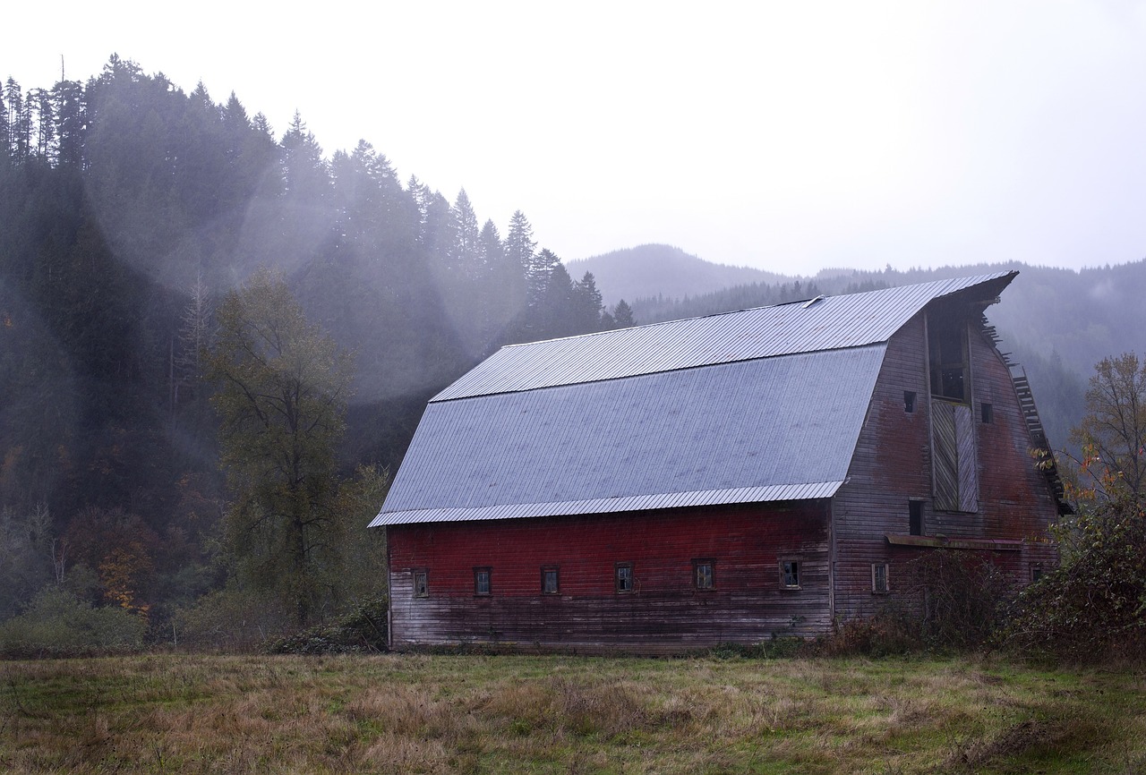 barn shed wood free photo