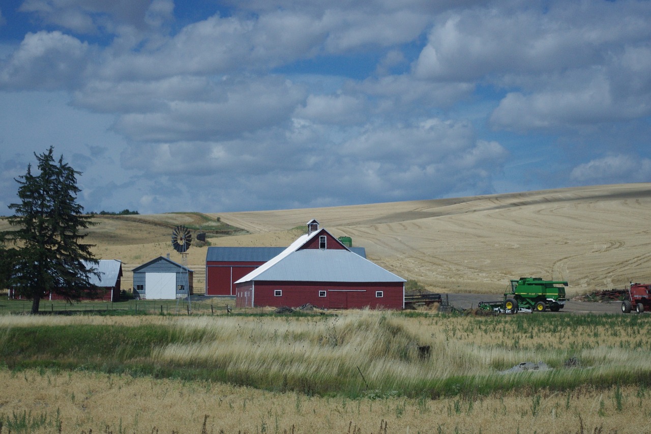 barn red field free photo