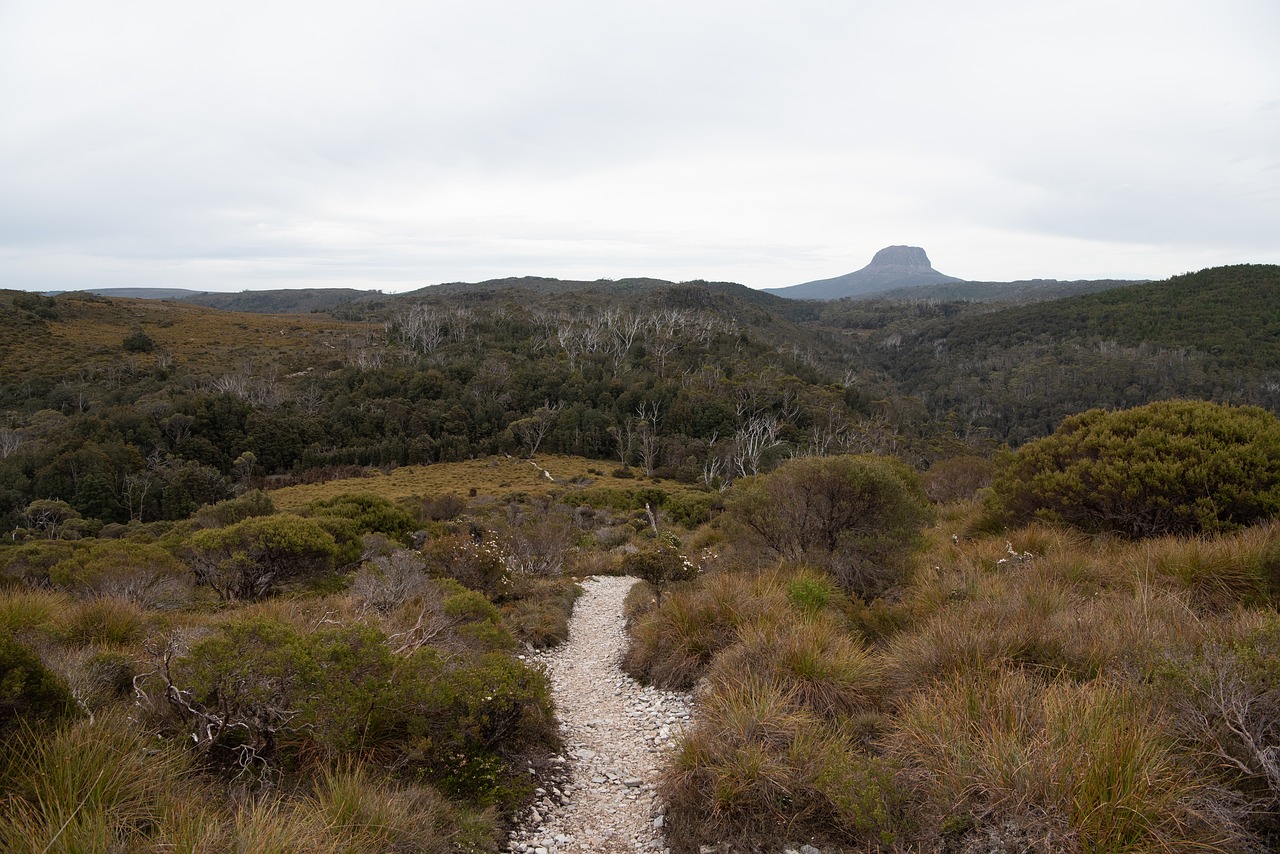 barn bluff  overland track  tasmania free photo