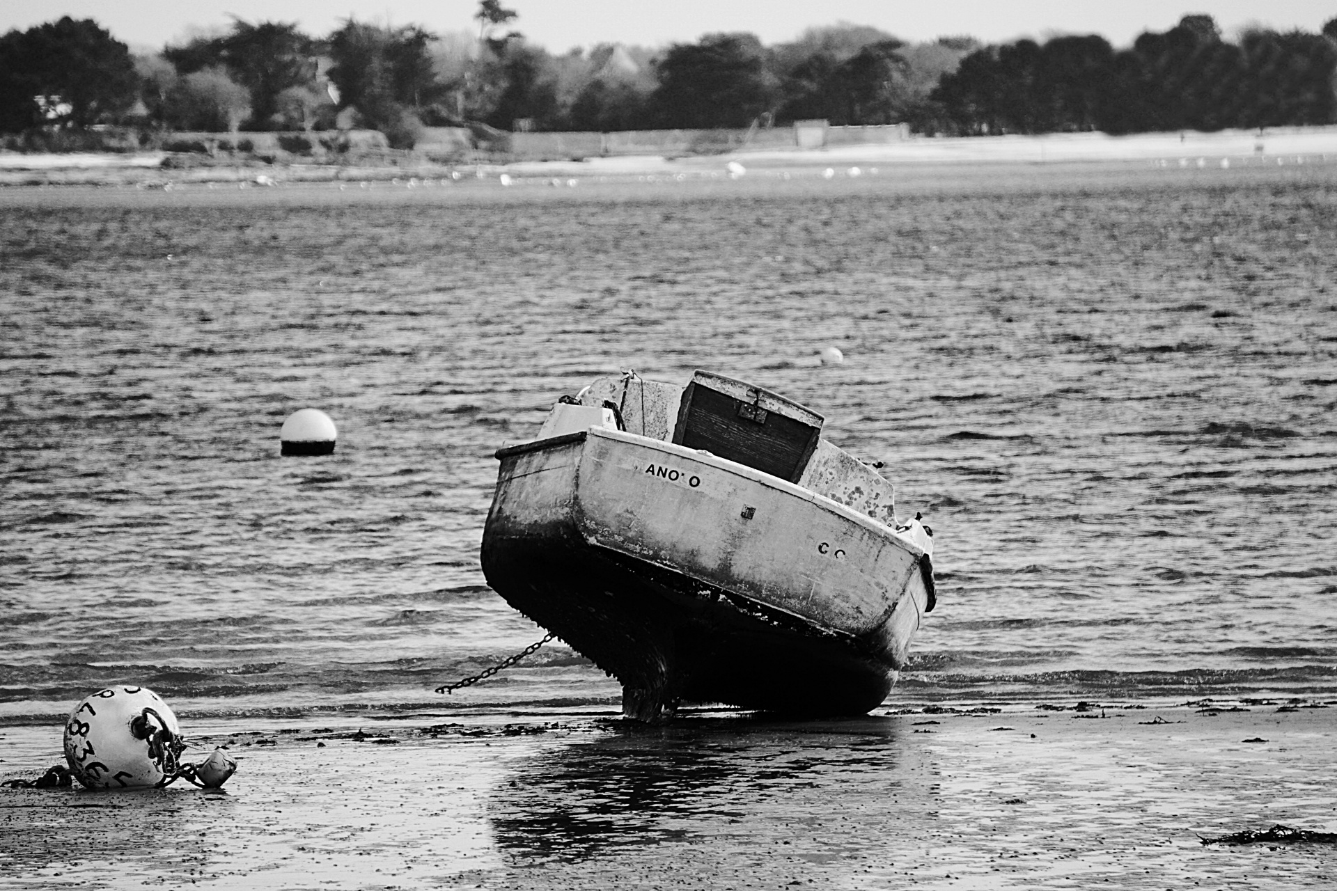 boat sand black white free photo