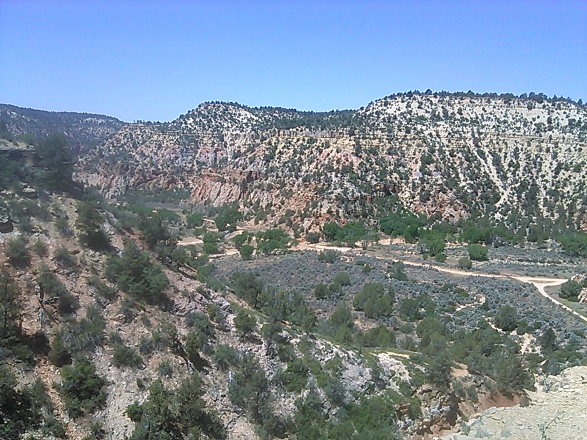 mountain canyon tree free photo