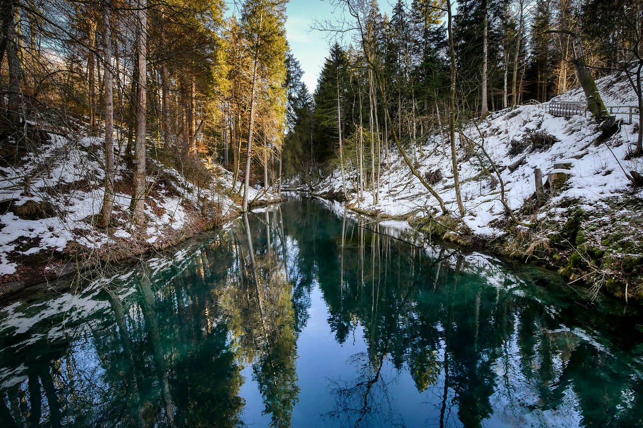 barrage  lake  forest free photo