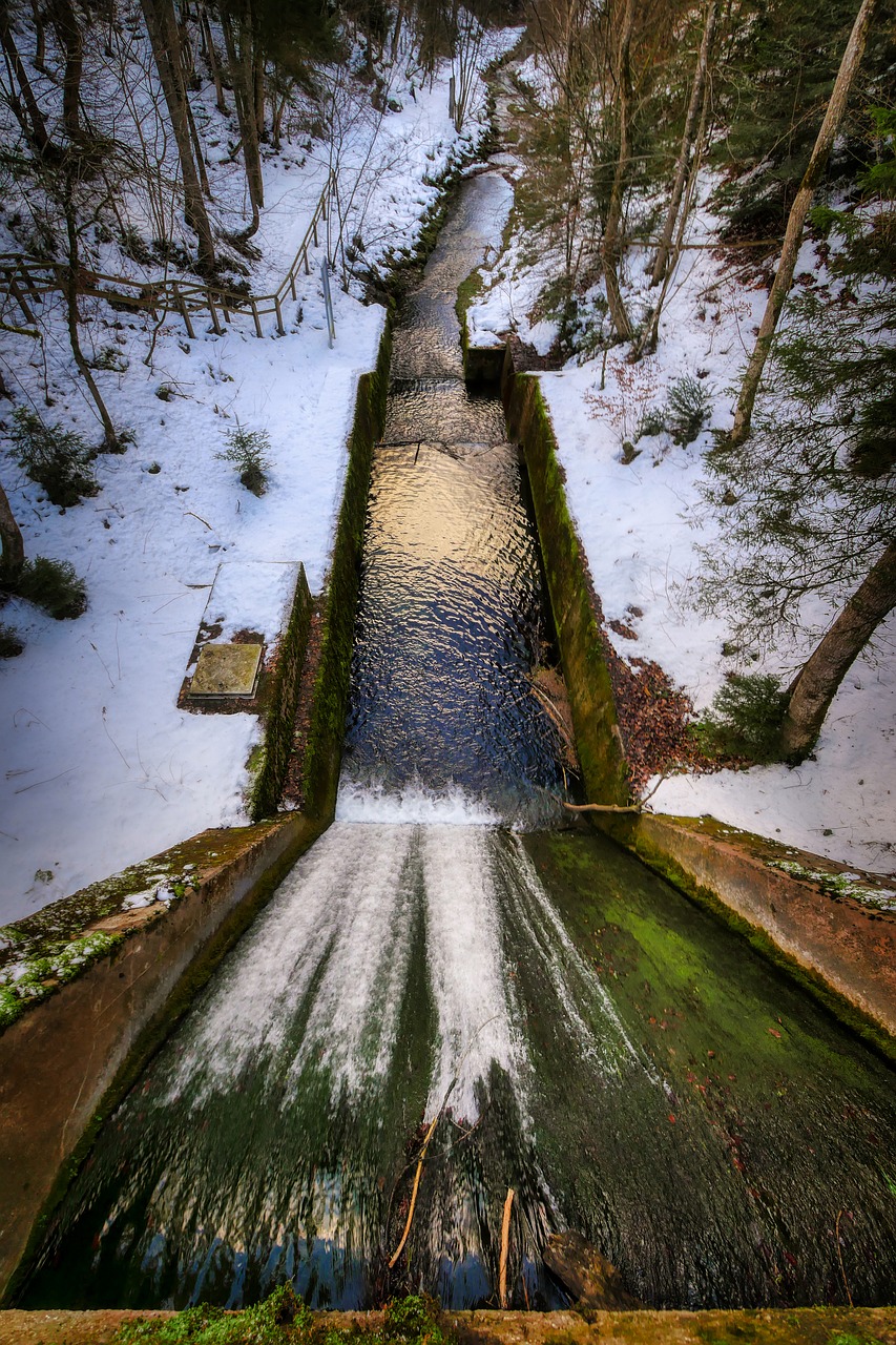 barrage  forest  snow free photo