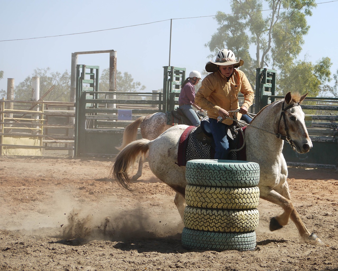 barrel racing cowboy rodeo free photo