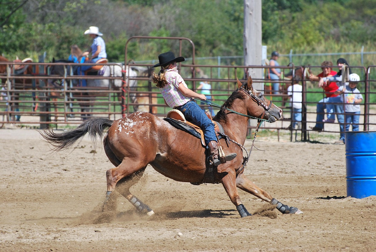 barrel racing  rodeo  horse free photo