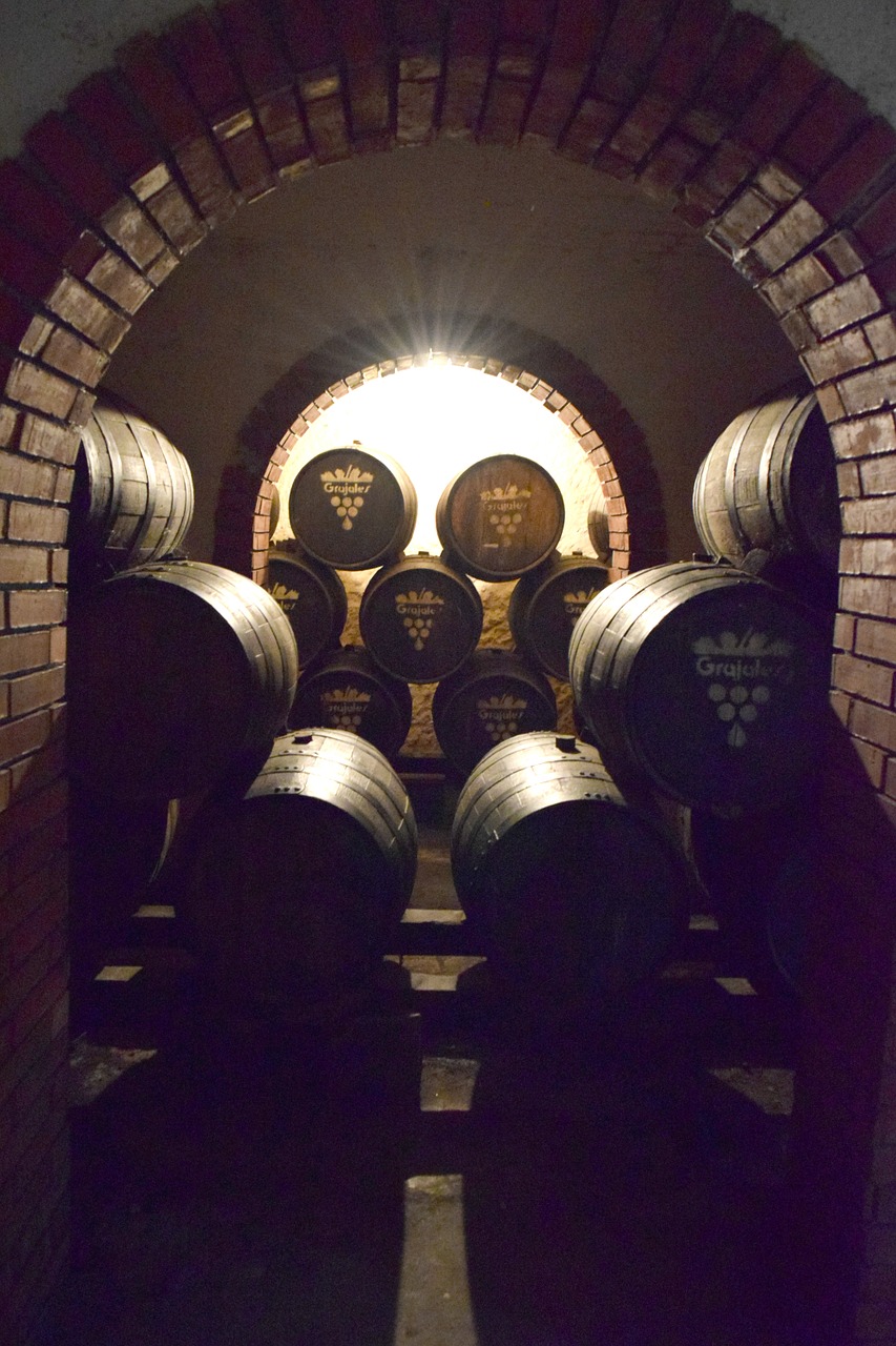 barrels wine vineyard free photo
