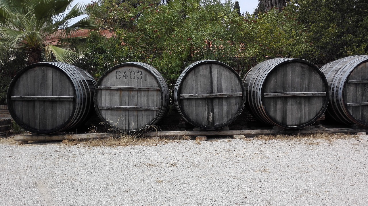 barrels wine grape free photo