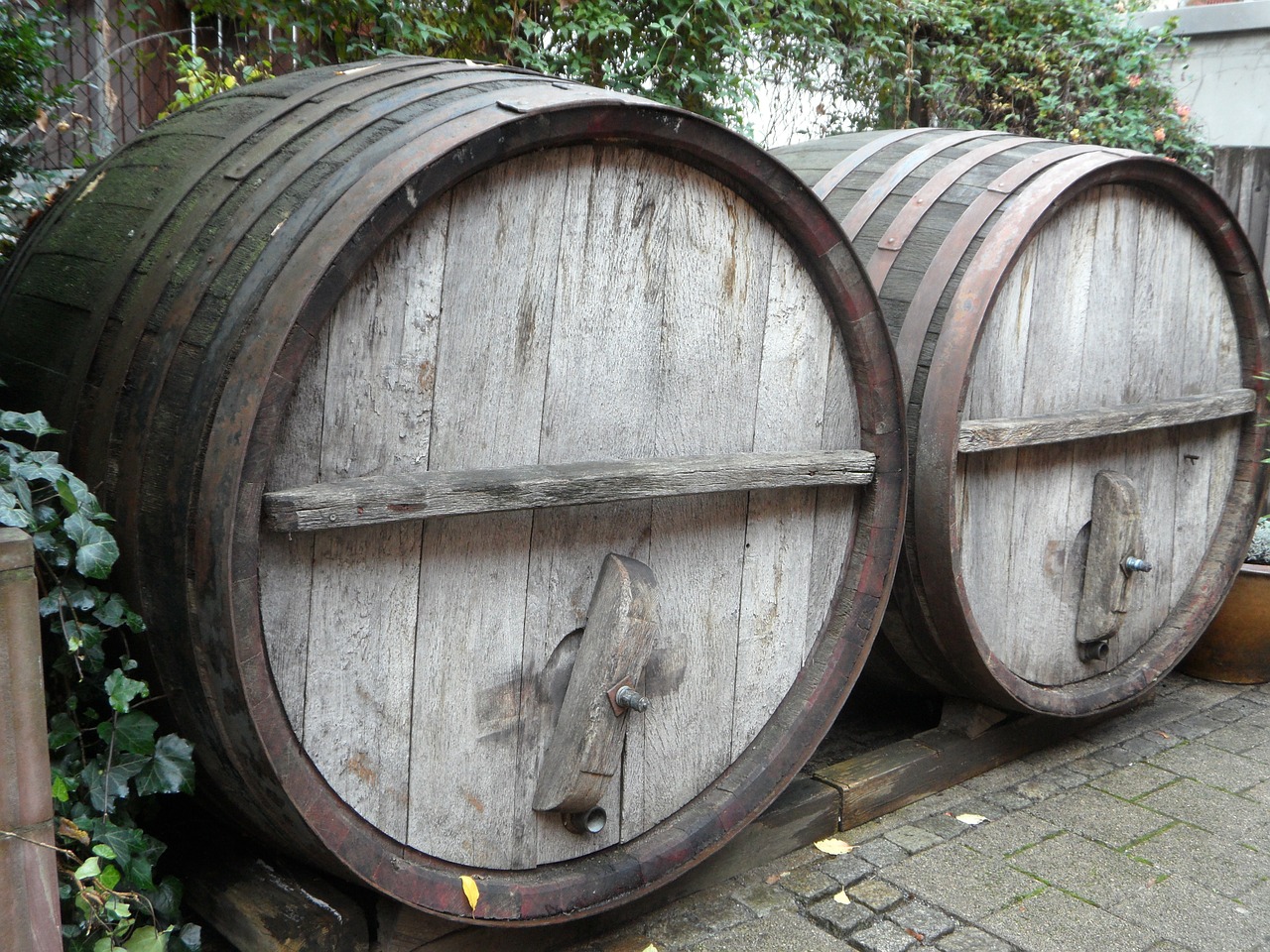 barrels wine barrels barrel free photo