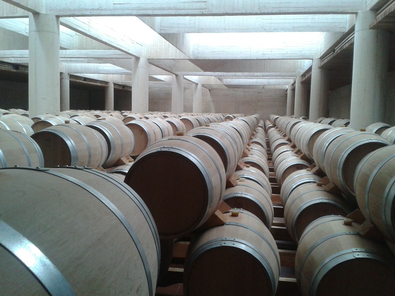 barrels wine breeding free photo