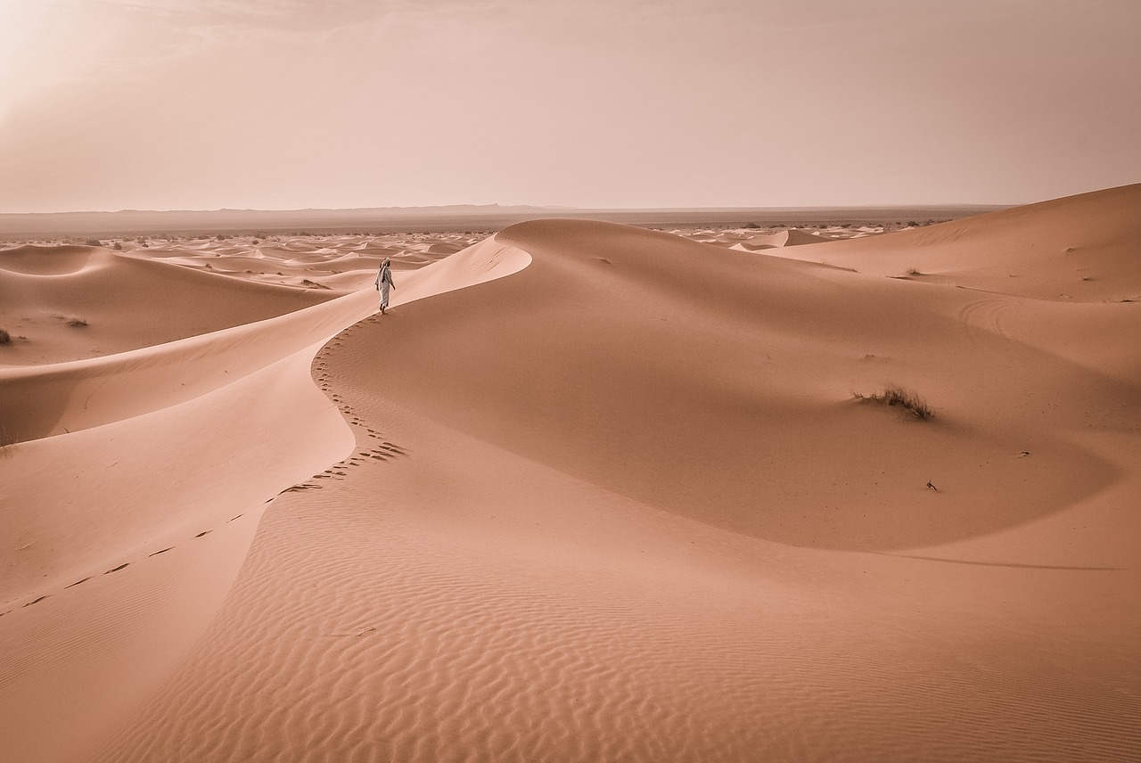 barren desert dune free photo