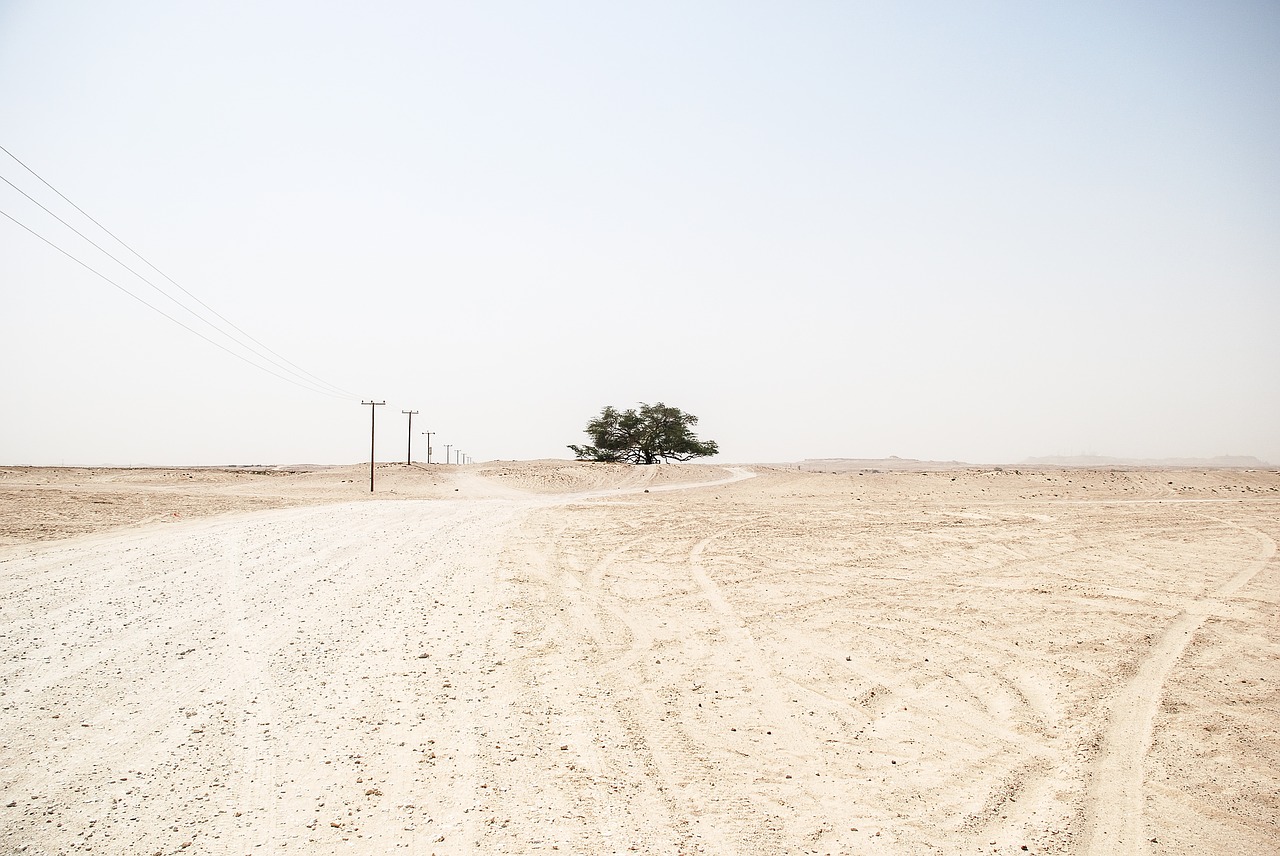 barren desert nature free photo