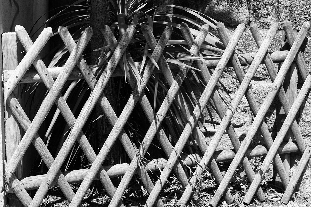 barrier bamboo protection free photo