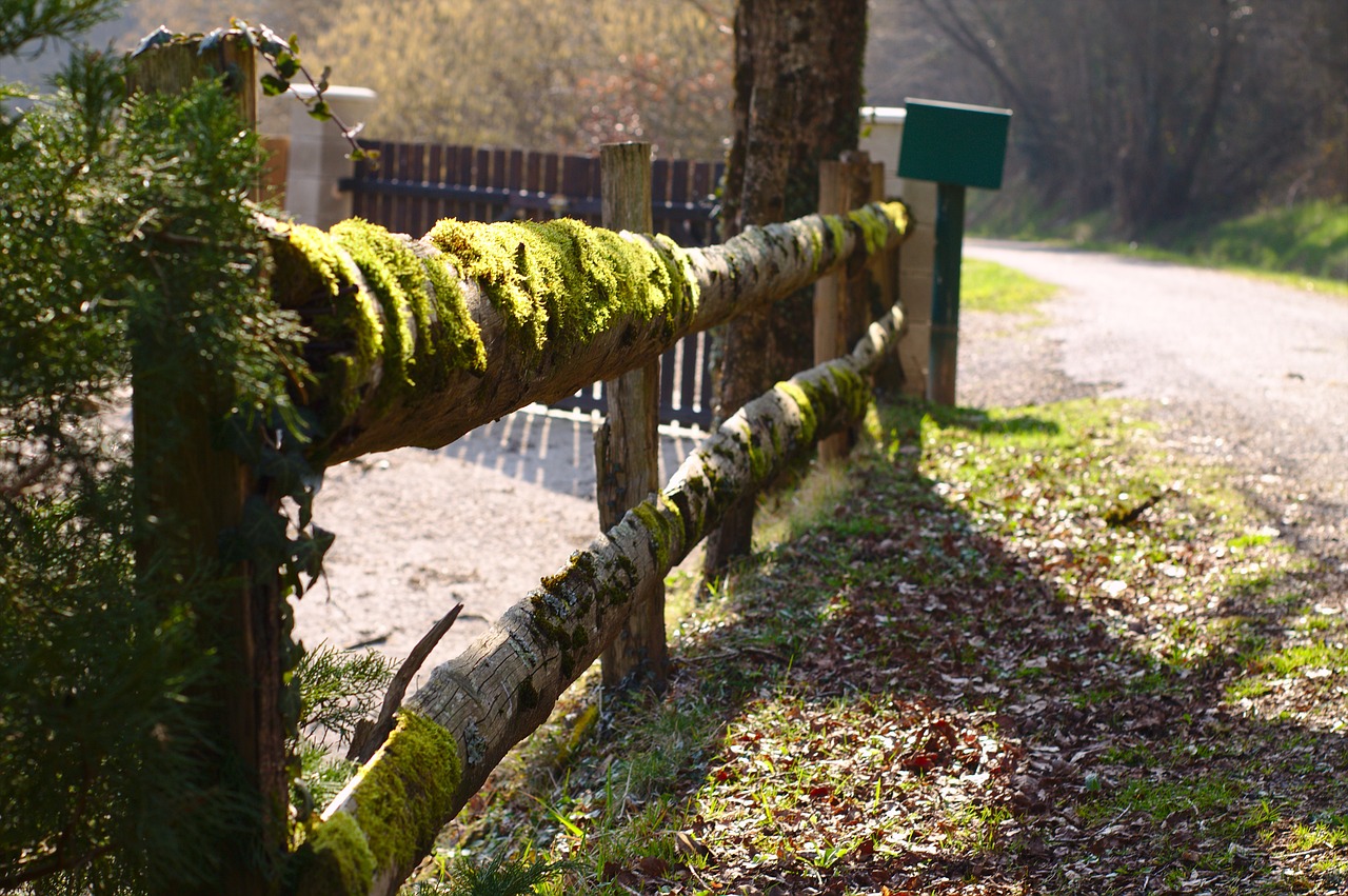 barrier  path  wood free photo