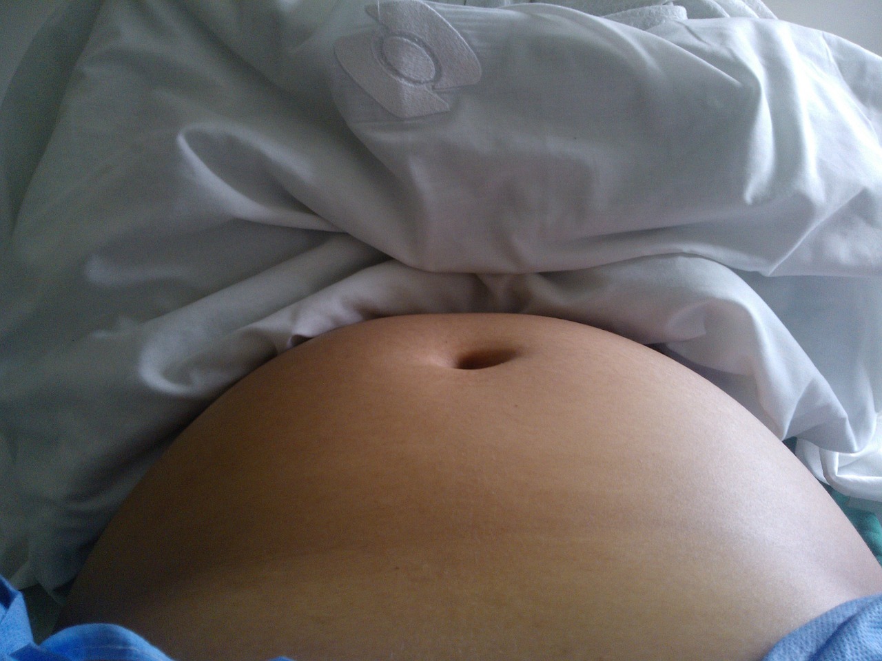barriga panza pregnancy free photo