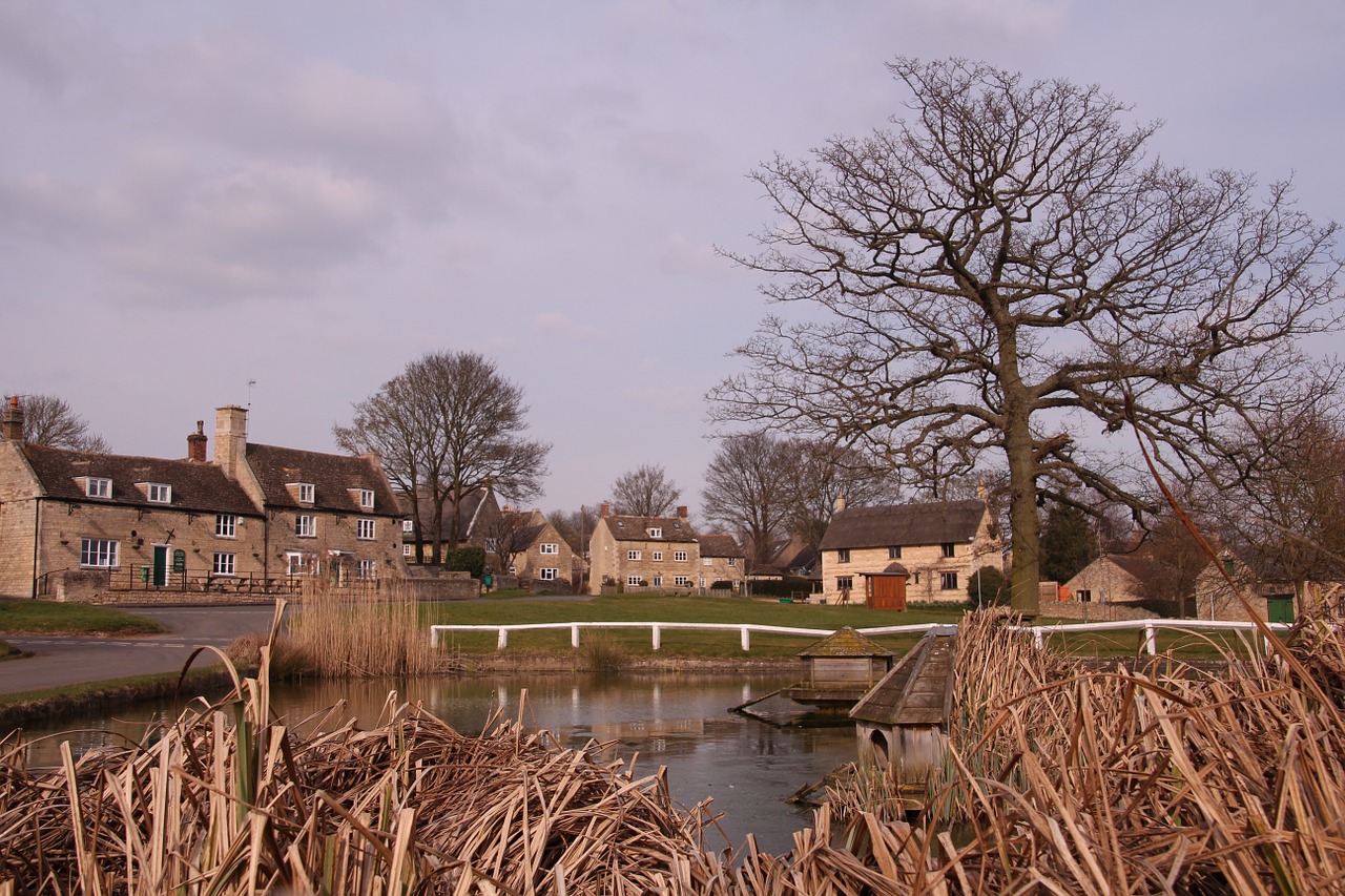 barrowden village pond nature free photo