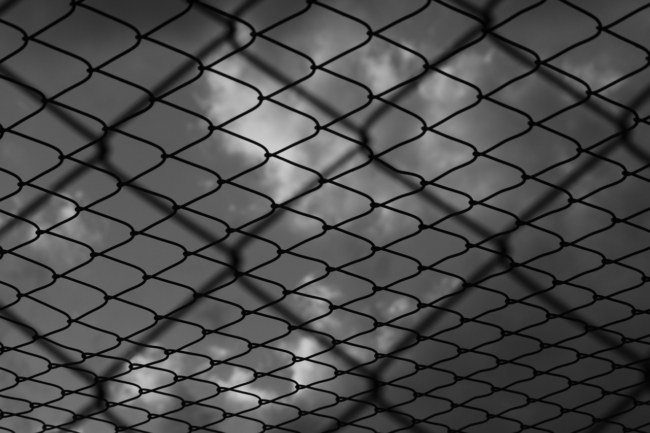 bars prison black and white free photo