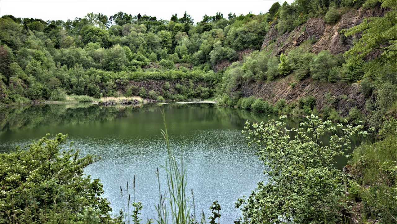 basaltsee  water  bushes free photo