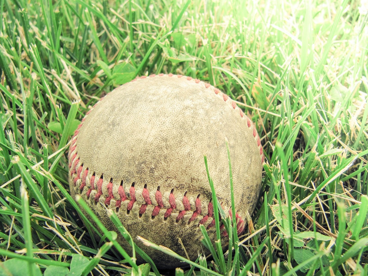 baseball grass game free photo