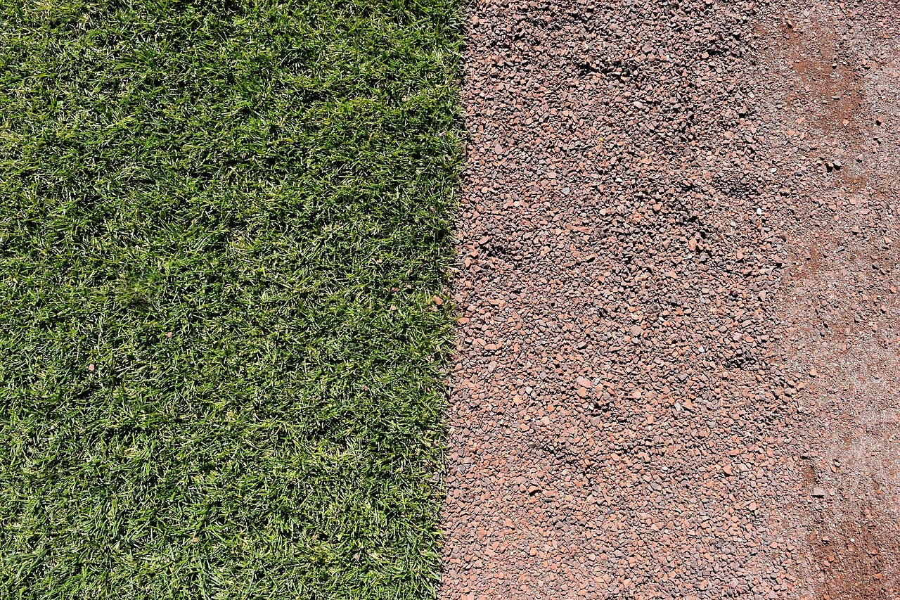 baseball turf field free photo