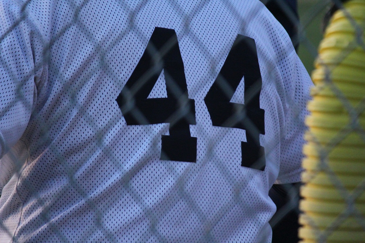 baseball 44 number free photo