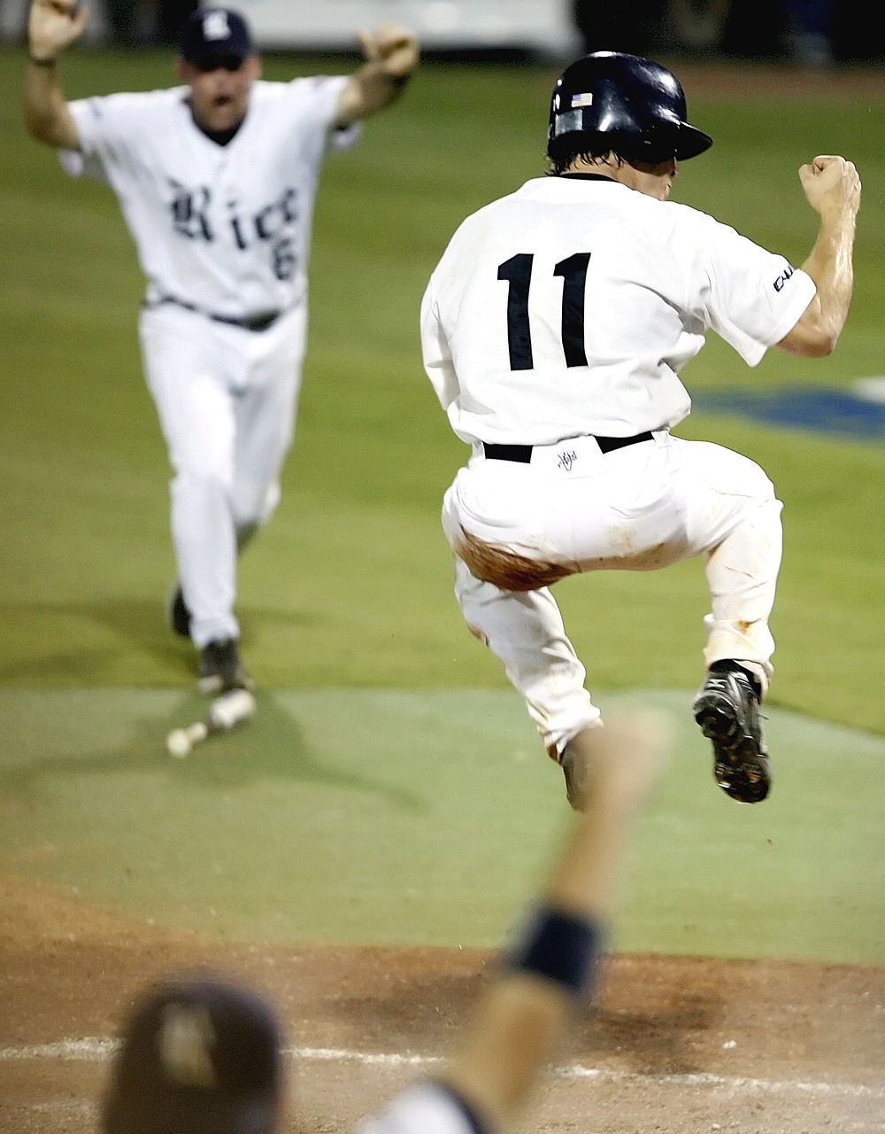 baseball baseball team victory free photo