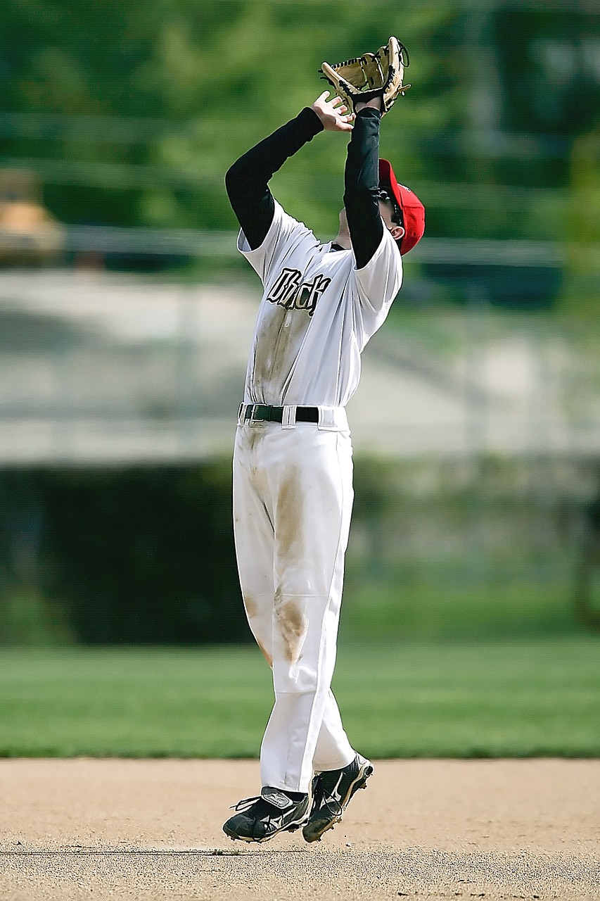 baseball baseball player infield free photo