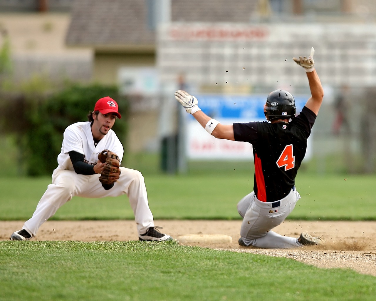 baseball baseball player competition free photo