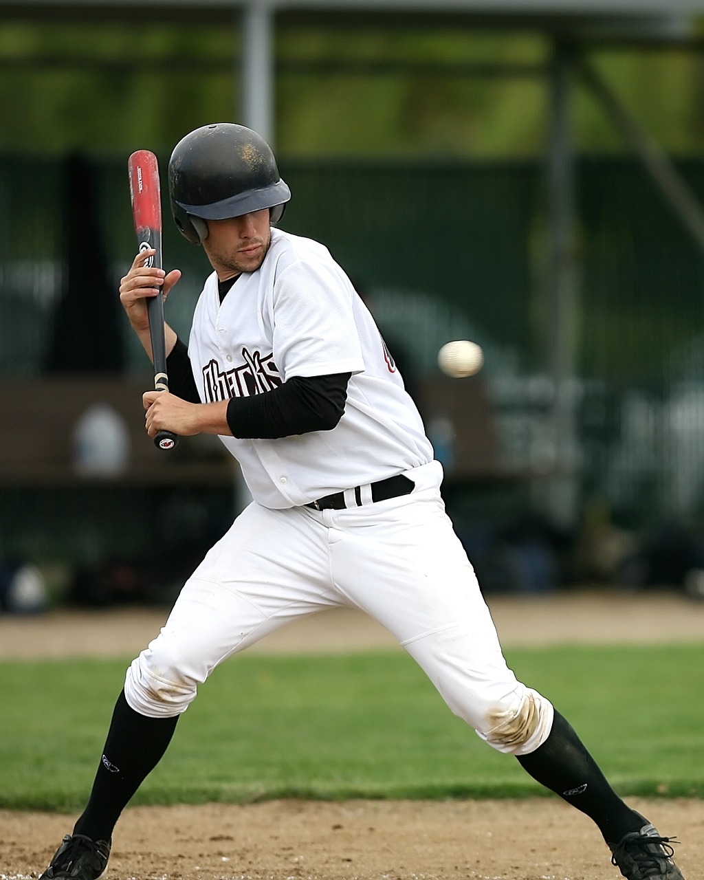 baseball baseball player batter free photo