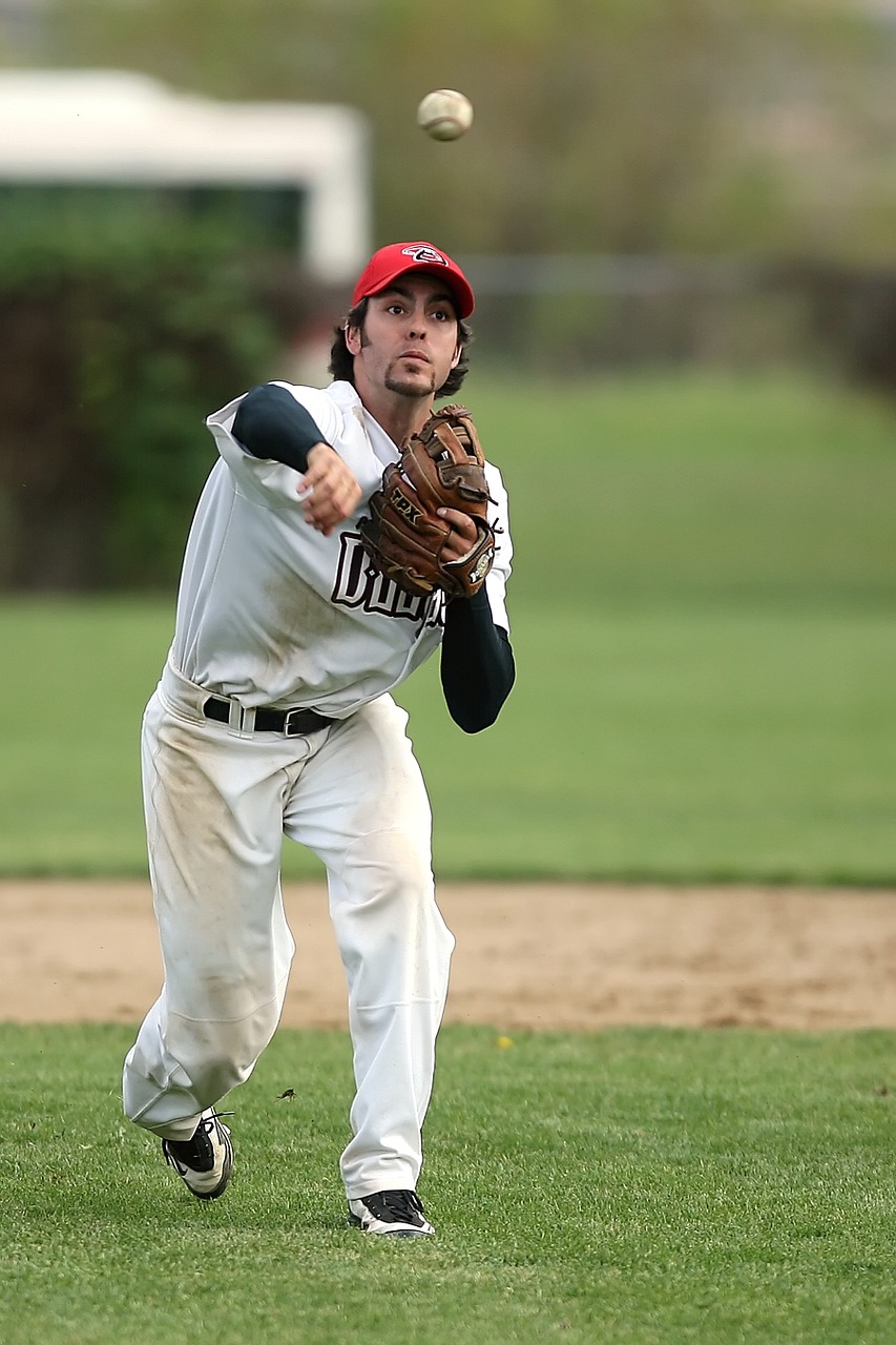 baseball baseball player game free photo